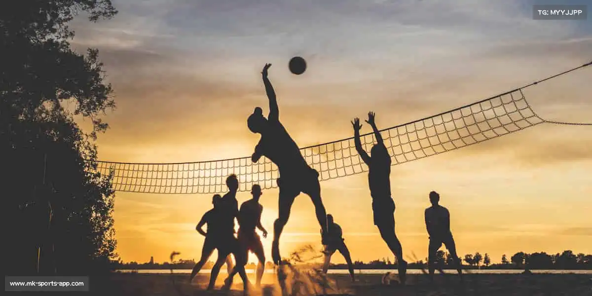 行业领先的理由